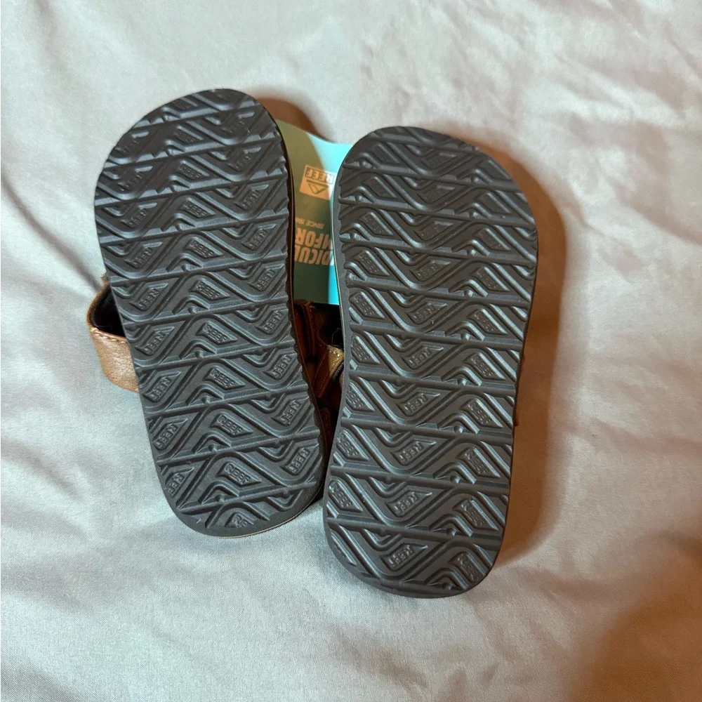 Reef 📏 size